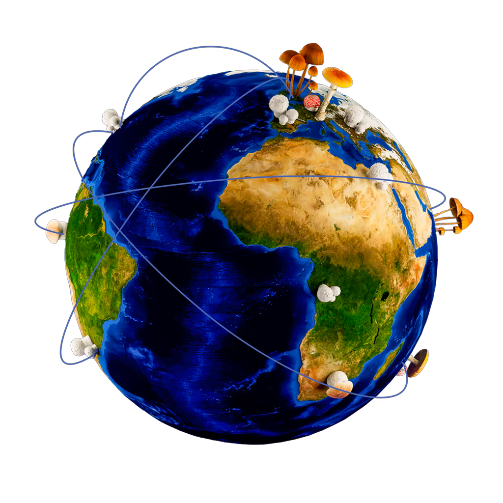 a planet with interconnected mushrooms sprouting all around it.